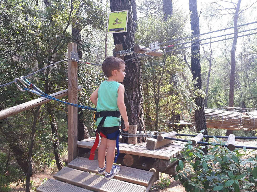 Parc aventure Flay Forest-Flayosc必去景点