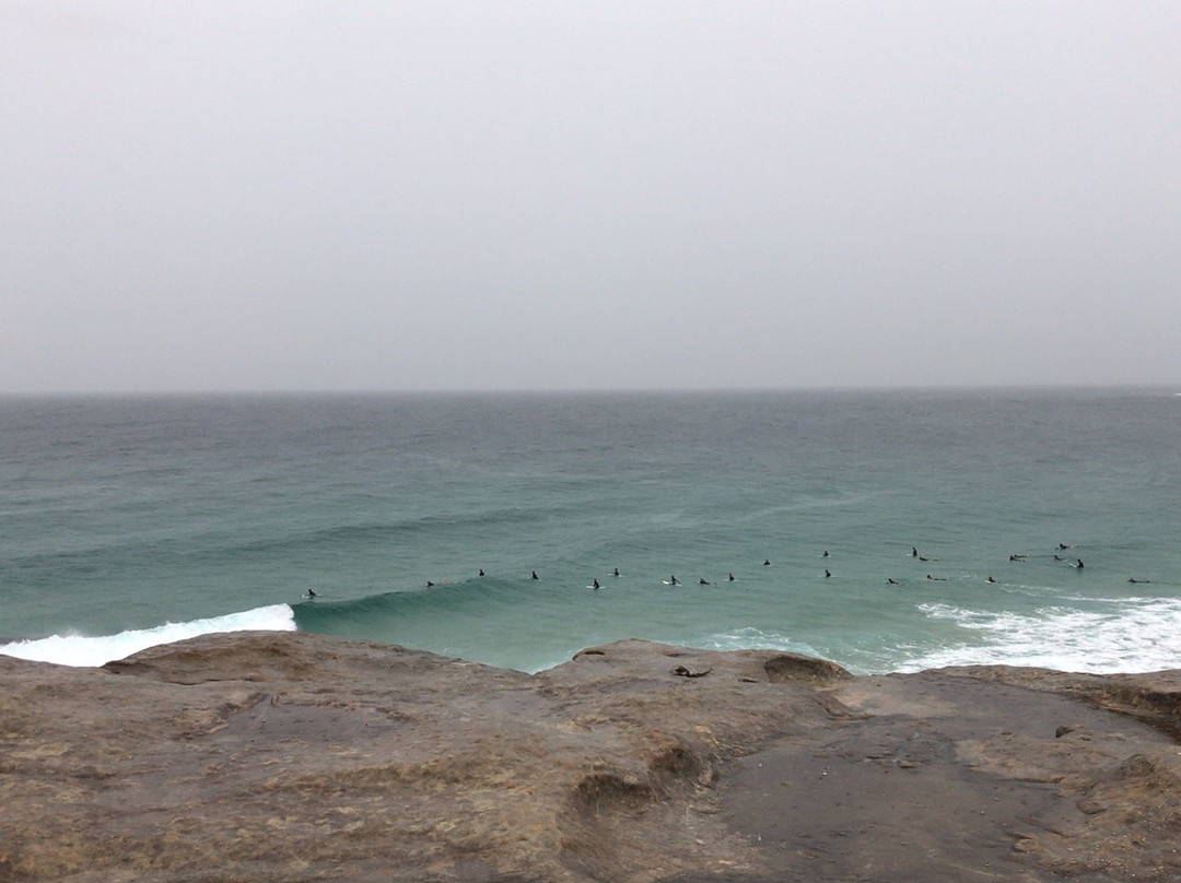 Marks Park-Tamarama必去景点