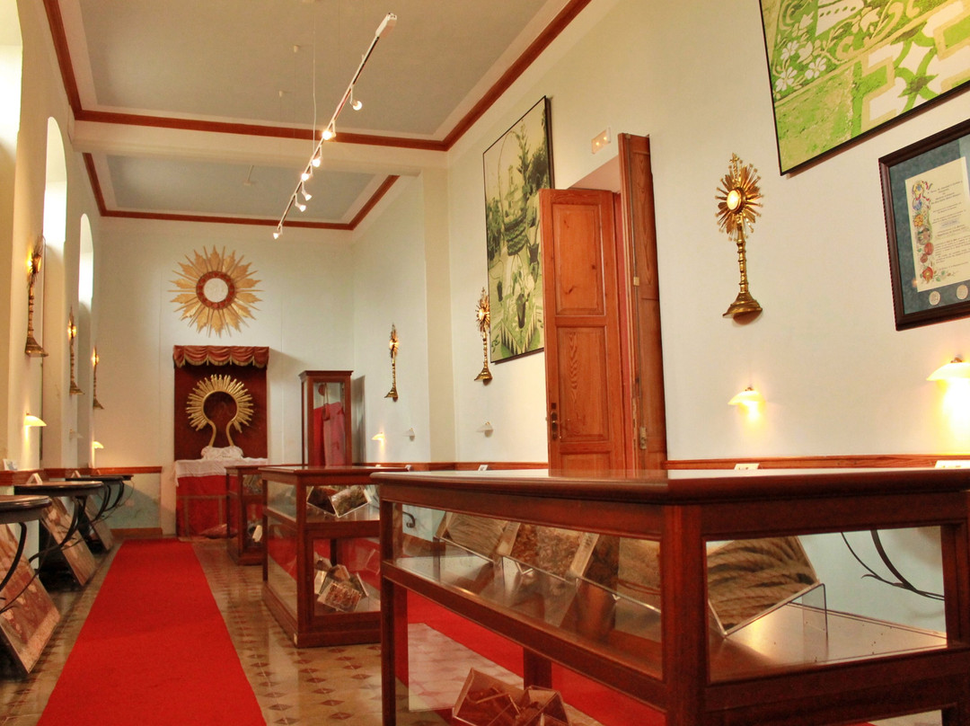 Museo Casa Roja景点图片