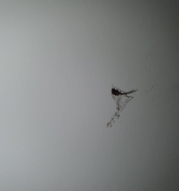 Hotel 325 Tor Vergata主图