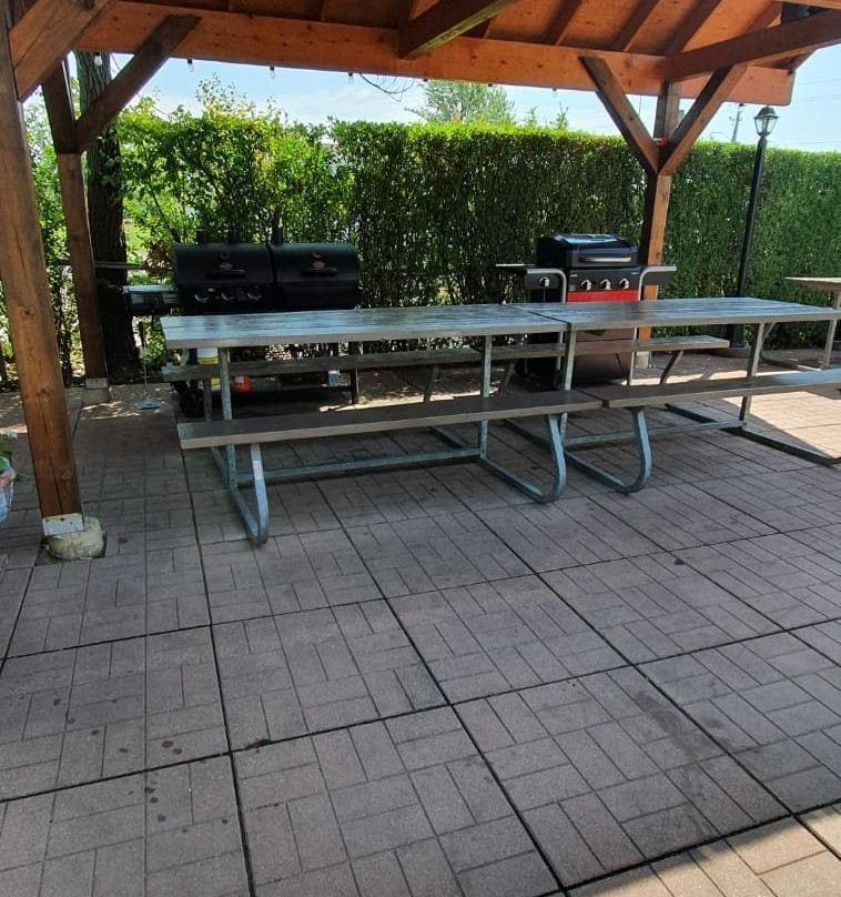 Blue Moon Motel主图