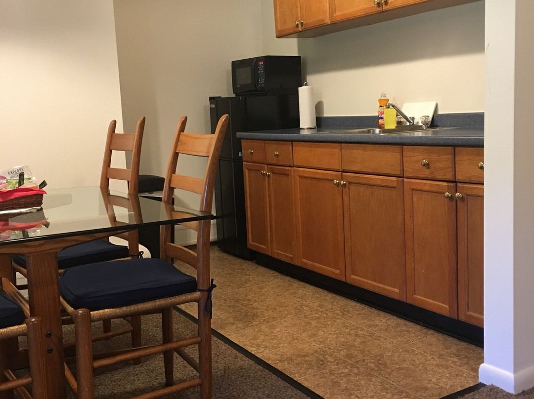 Wind in the Pines主图