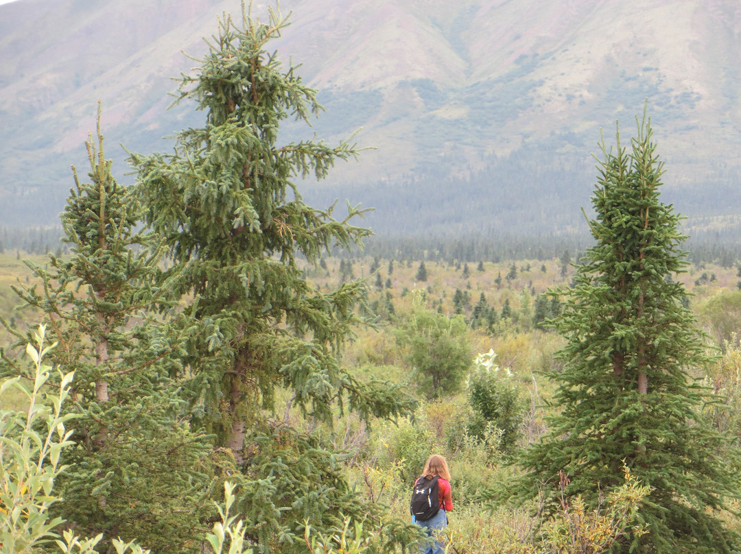 Aspen Haus Bed and Breakfast主图