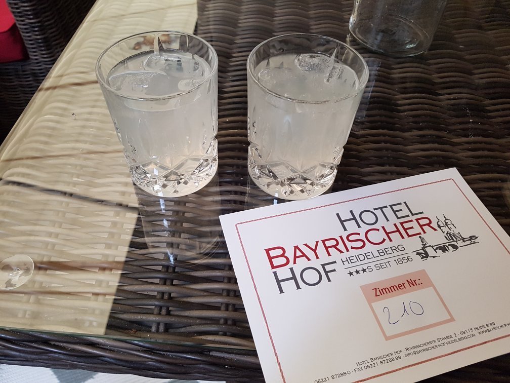 巴伐利亚霍夫酒店-官方