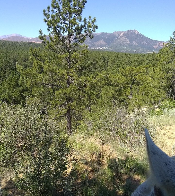 Air Force Academy Stables-Colorado City必去景点