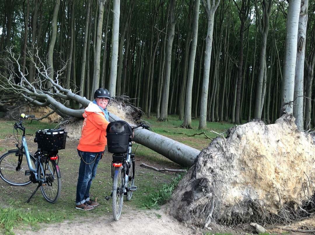 Fahrradverleih BalticBike MV景点图片