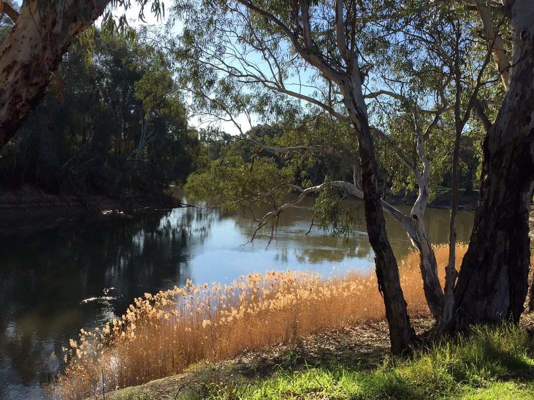 Lions Park-Tooleybuc必去景点