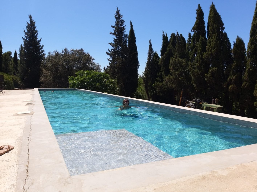 Chateau Petit Sonnailler主图