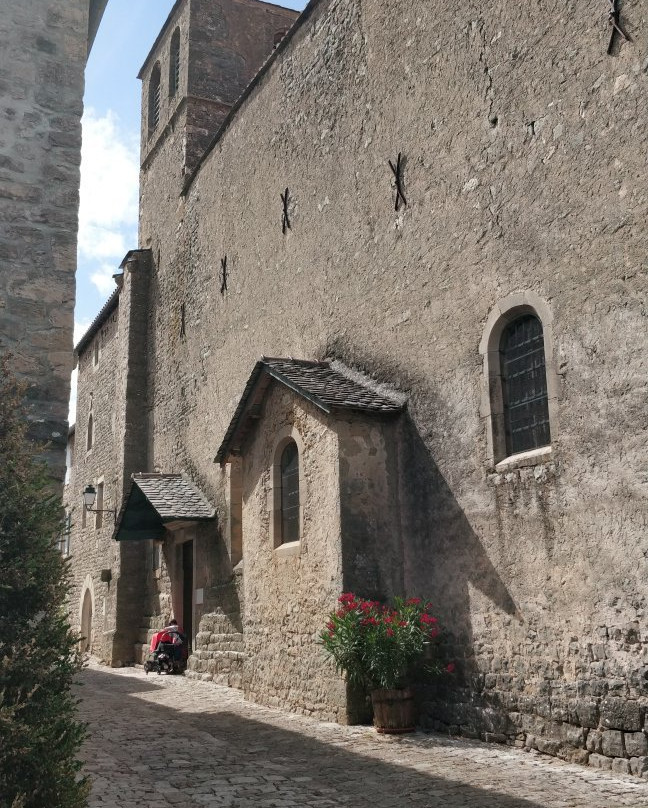 Fort de Saint-Jean d'Alcas景点图片