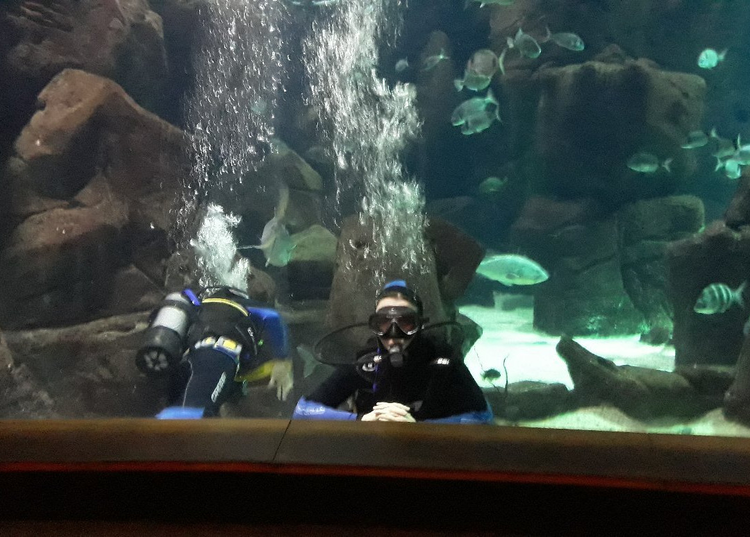 Turtle Diving Center-莫尼什港必去景点