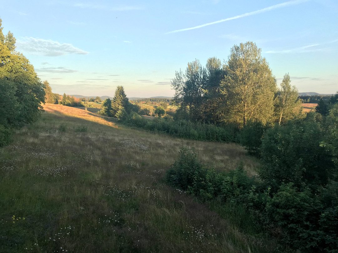 Rock Resort - Sankt Andreasberg主图