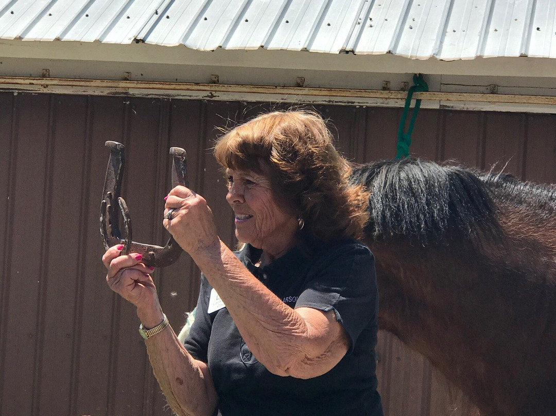 Larson's Famous Clydesdales-Ripon必去景点