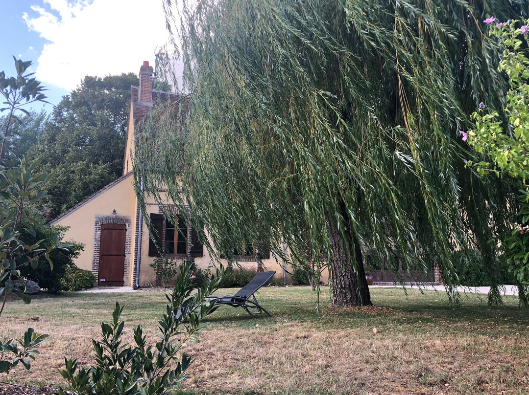 Hameau De La Fausse Sauge主图