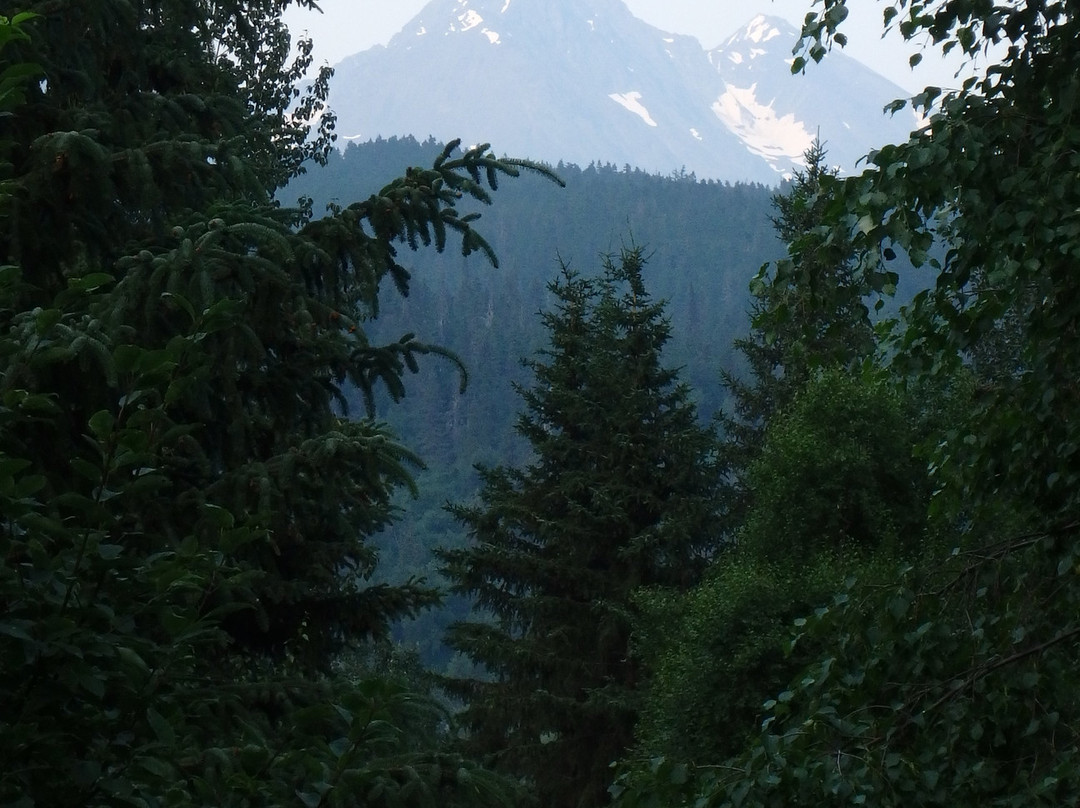 Midnight Sun Log Cabins主图