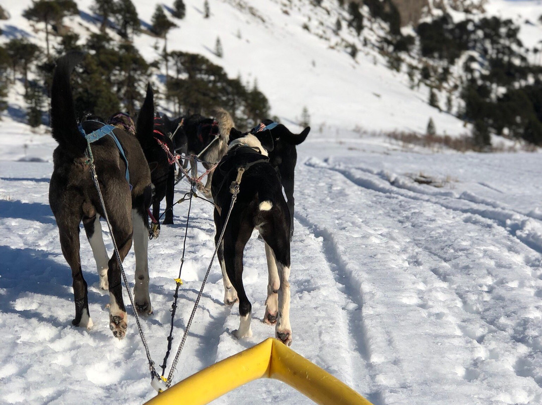 La Huella-Caviahue必去景点