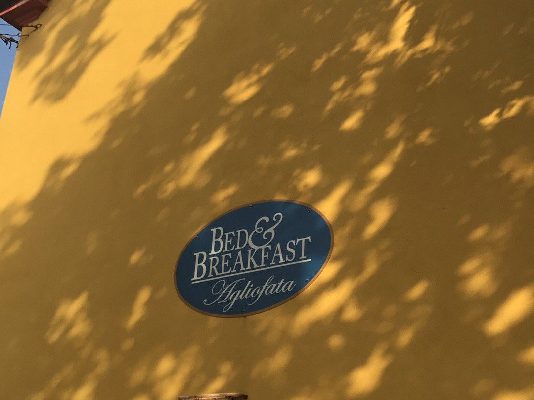 B&B Agliofata主图
