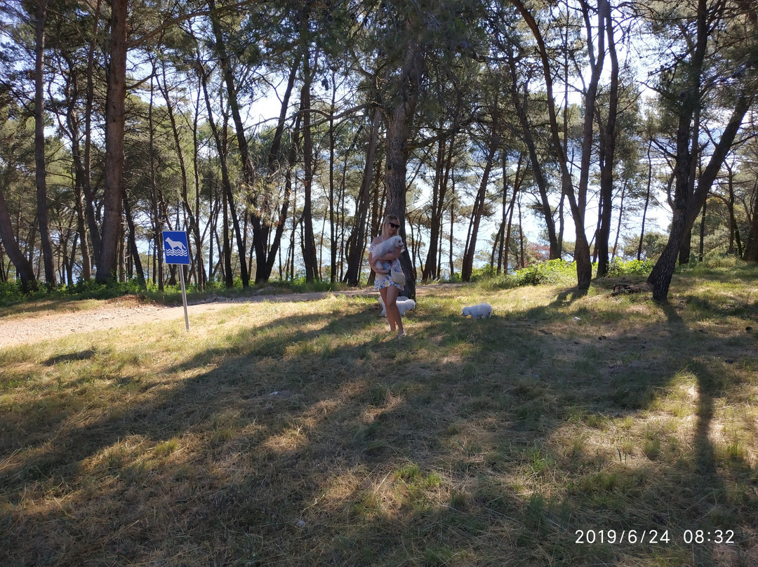 Apartments Kanegra Plava Laguna主图