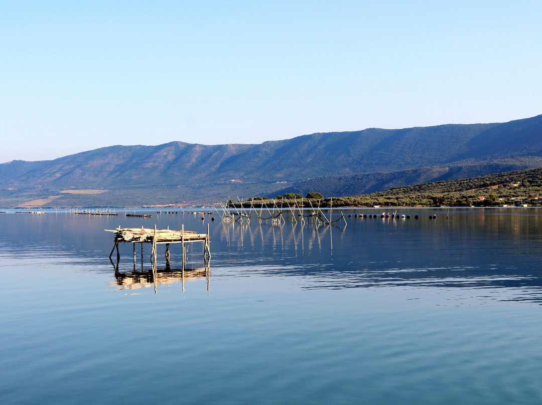 Lago di Varano景点图片