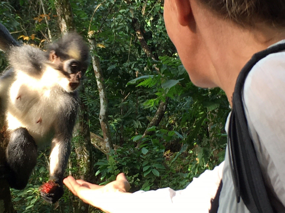 The Bohorok Orangutan Centre at Bukit Lawang-武吉拉旺必去景点