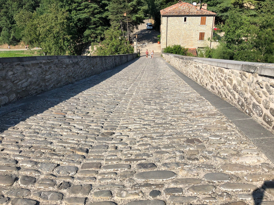 Ponte Alidosi (ponte rinascimentale a Schiena d'Asino)景点图片