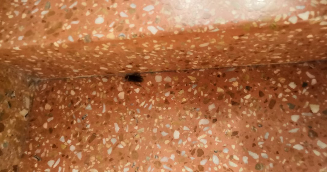 Hostal Residencia Menurka主图