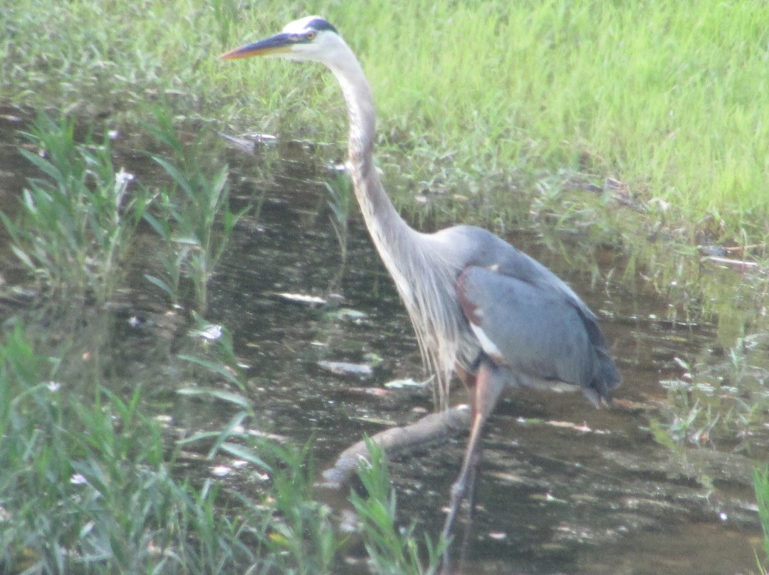 Black Hill Regional Park-Boyds必去景点
