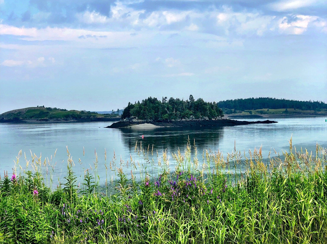 Campobello Island-New Brunswick必去景点