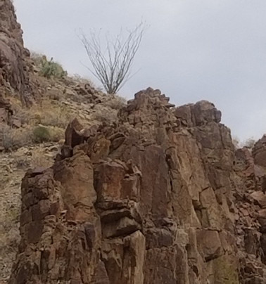 Grand Canyon Custom Tours-弗拉格斯塔夫必去景点