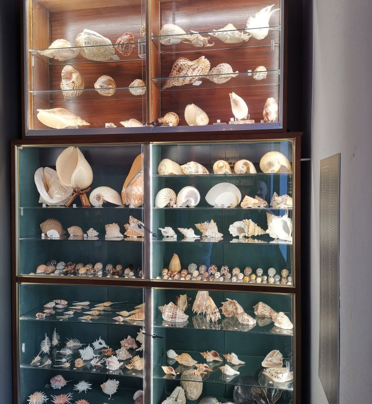 Muséum d'Histoire Naturelle de La Réunion景点图片