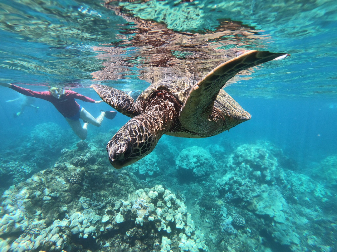 Po'olenalena Beach-维雷亚必去景点