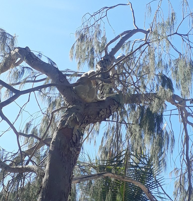Horseshoe Bay Water Sports-Magnetic Island必去景点
