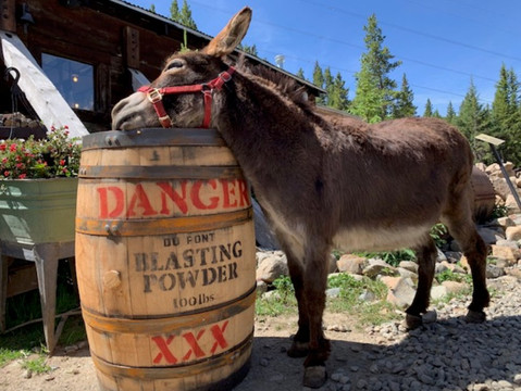 Country Boy Mine-布雷肯里奇必去景点