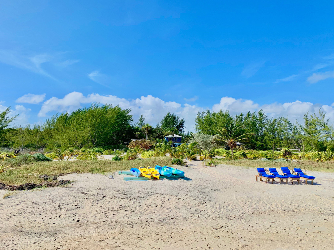 Andros酒店住宿-Andros Beach Club