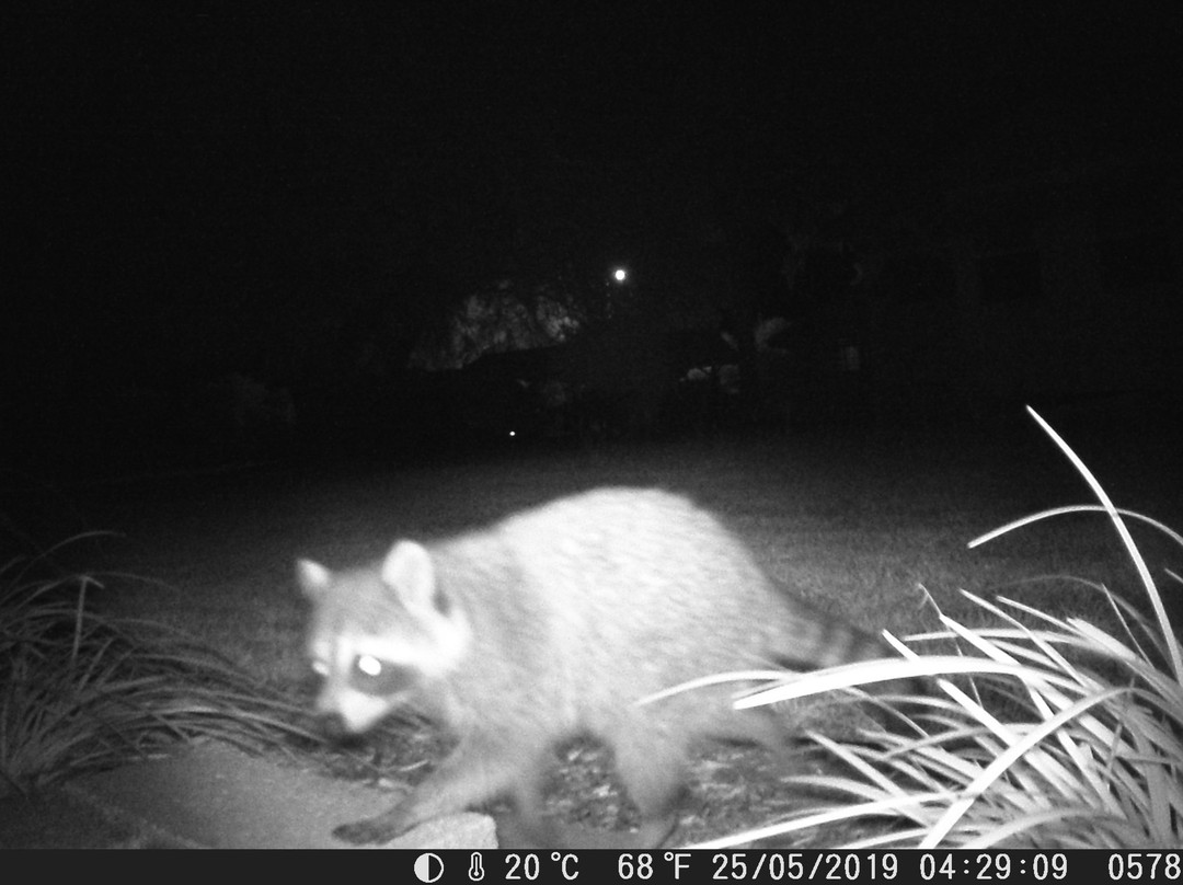 Lake Kerr-Salt Springs必去景点