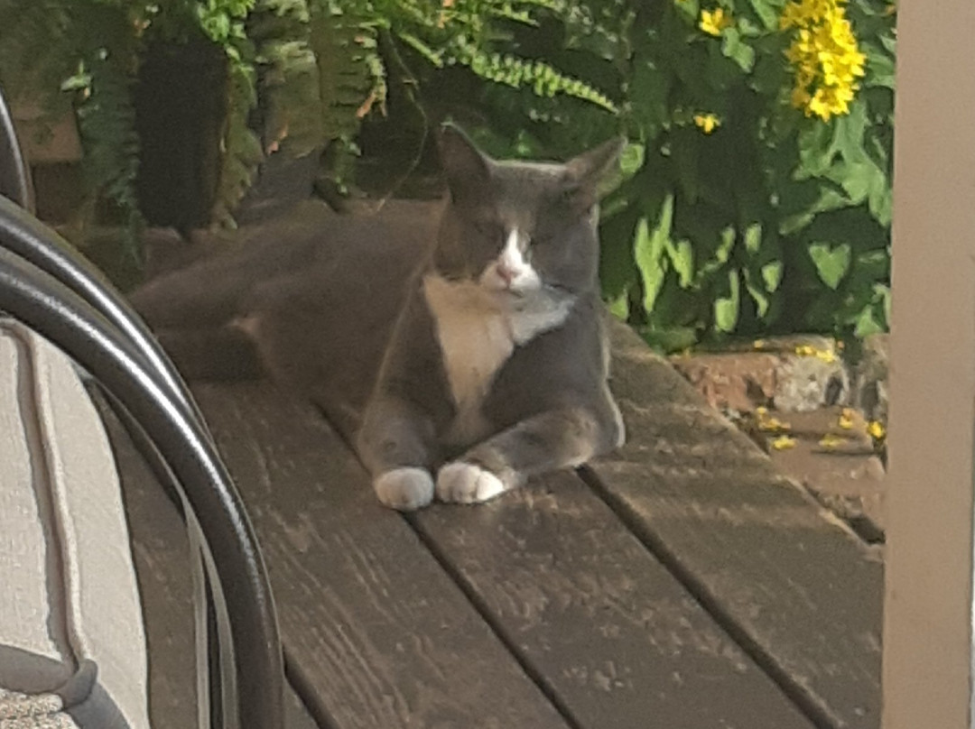 Inn on the Harbour主图