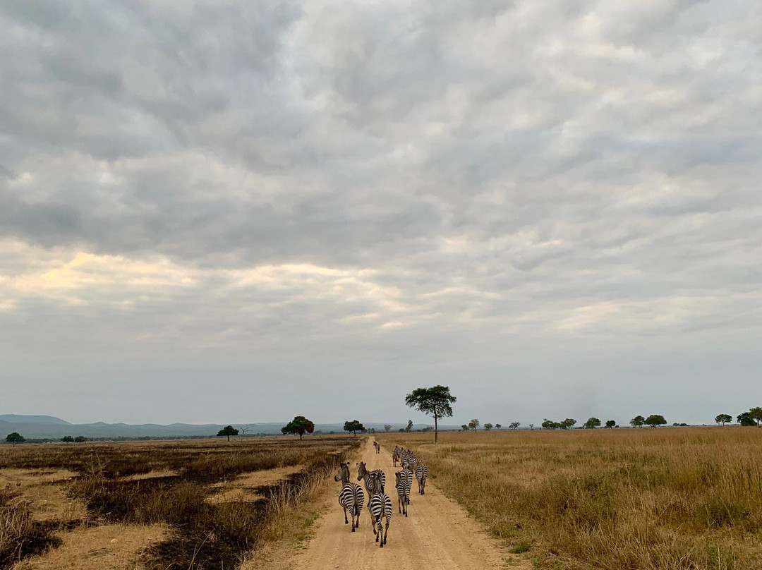 Zanzibar & Beyond Safaris-桑给巴尔市必去景点