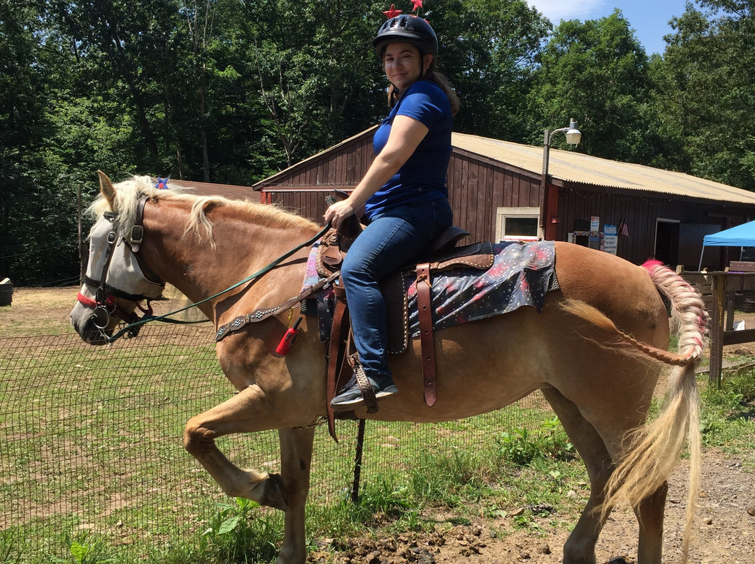 Jim Thorpe Horse Adventures景点图片