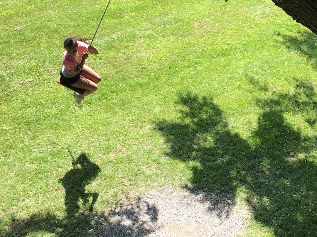 Tree Creations in Geneseo-Geneseo必去景点