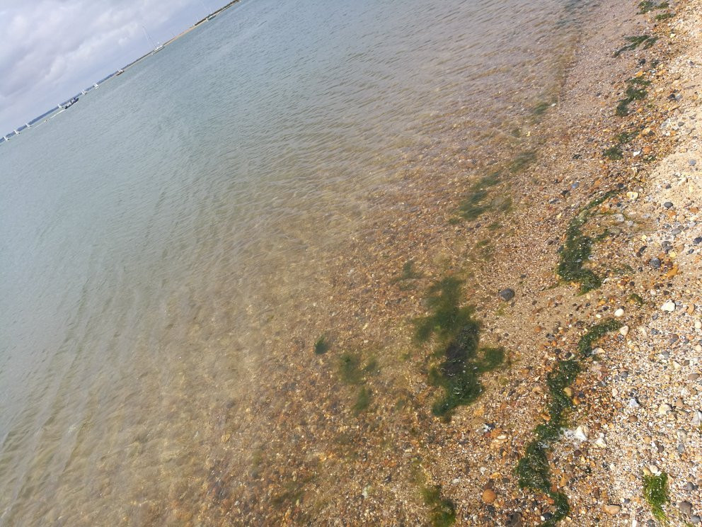 West Mersea Beach景点图片