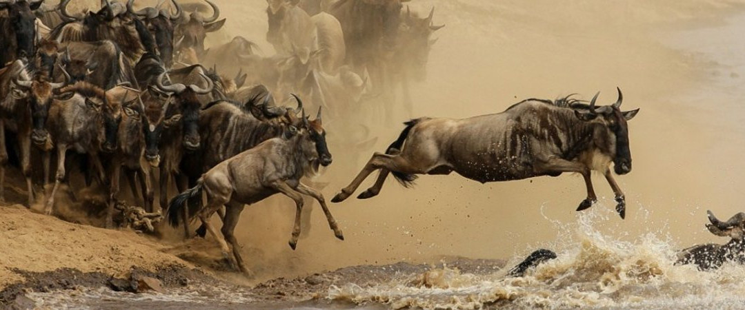 阿鲁沙国家公园旅游攻略图片