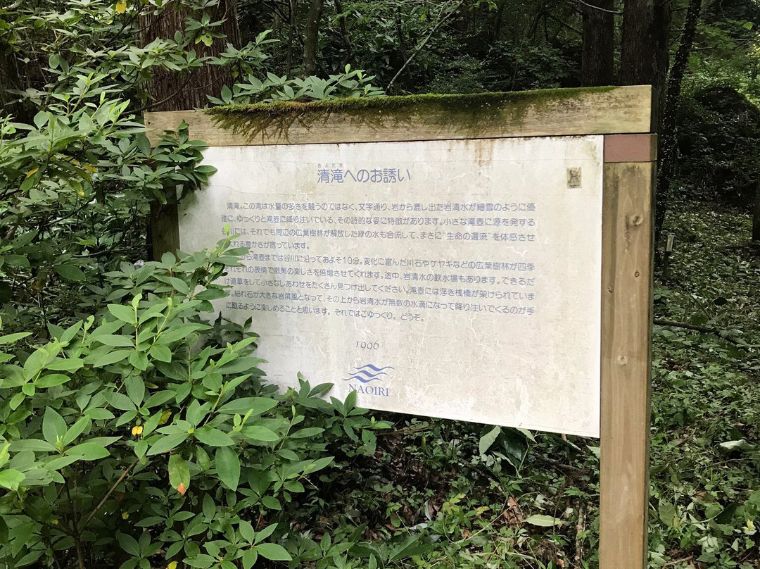 Kiyotaki Falls景点图片