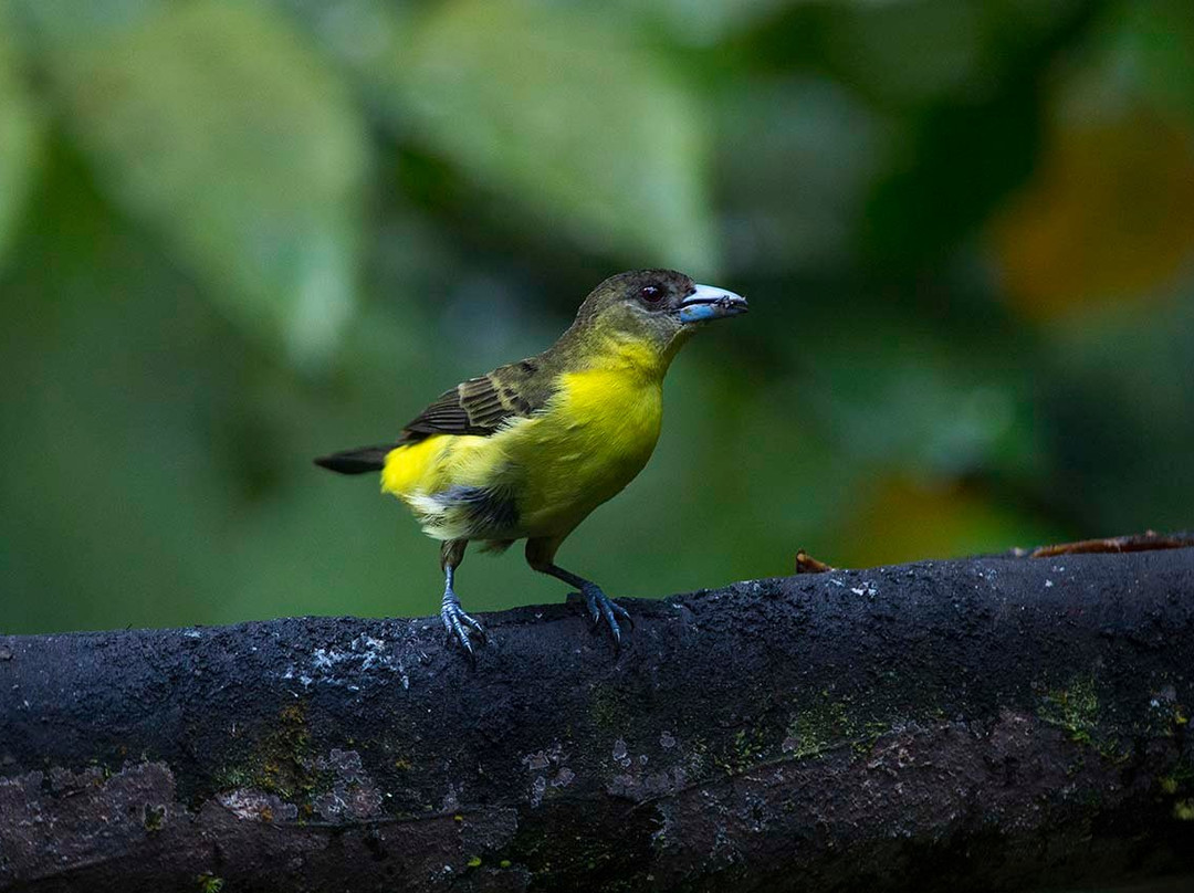 Casa Divina Eco Lodge主图