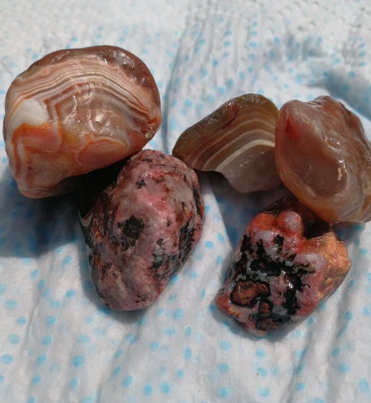 McLain State Park-汉考克必去景点