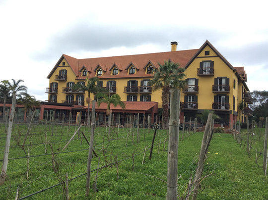 Sofia`s Island Wonders Tour by StoryTell-马德拉群岛必去景点