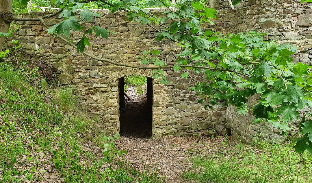 Ruins of Fulstejn Castle景点图片