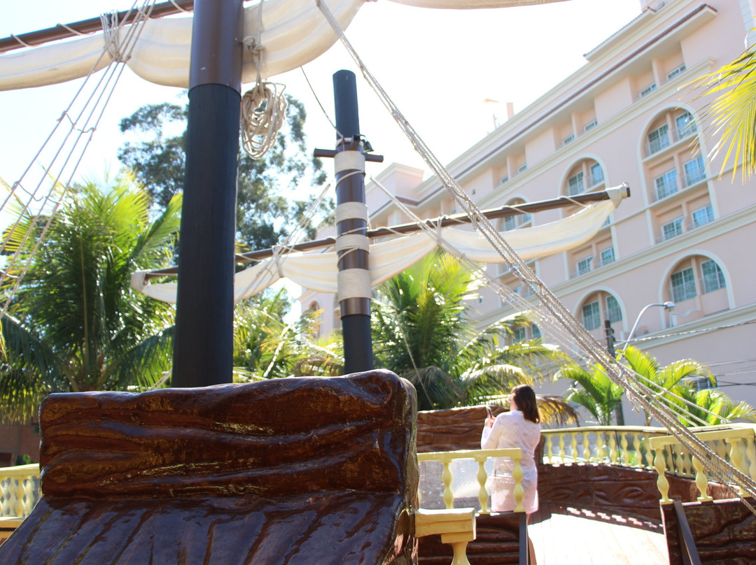 Royal Palm Plaza Resort Campinas主图