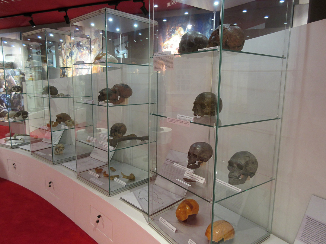 Museum of Aleš Hrdlička-Humpolec必去景点