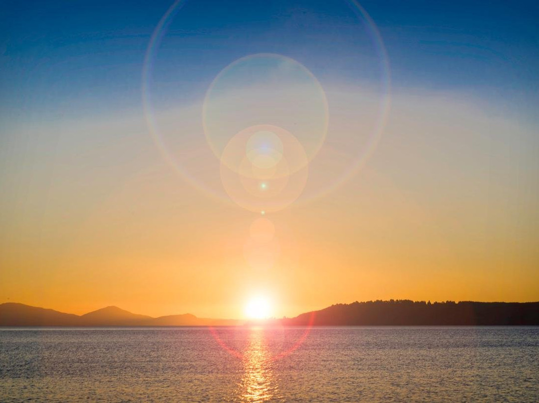 Lesley Whyte Photography-奥克兰必去景点