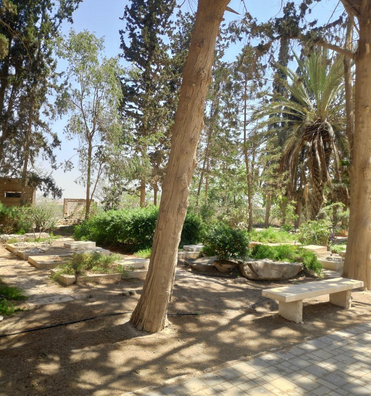 HaMasgeria - Pub Kibbutz Hazerim-贝尔谢巴必去景点