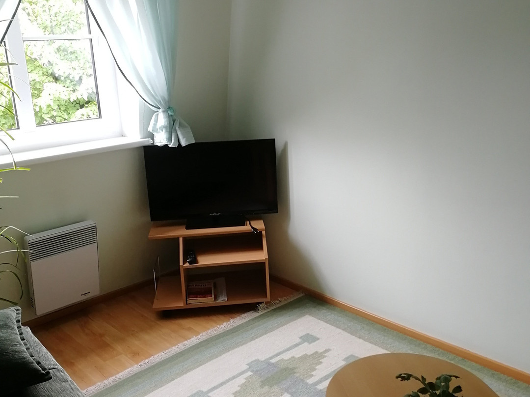 Netti Guesthouse主图